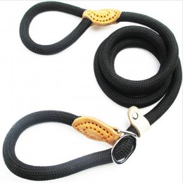 P smycz łańcuchowa Slip Collar pet Walking prowadzi Nylon Dog wspinaczka górska lina puppy szelki dla zwierząt domowych dla mały
