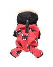 Pet dog jesienne i zimowe ubrania dla psów czworonożne ubrania dla małych psów nadrukowana moda czerwone czarne kolory s-xxl roz