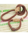 P smycz łańcuchowa Slip Collar pet Walking prowadzi Nylon Dog wspinaczka górska lina puppy szelki dla zwierząt domowych dla mały