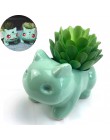 Bulbasaur soczyste doniczka do sadzenia ręcznie malowany obrazek wazon artystyczny donica na rośliny Bulbasaur roślina biurko sa