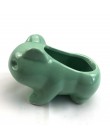 Bulbasaur soczyste doniczka do sadzenia ręcznie malowany obrazek wazon artystyczny donica na rośliny Bulbasaur roślina biurko sa