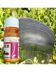 Jedna butelka 20 ml kwas giberelinowy ga3/Gibberellin /GA3/kwas giberelinowy hormon wzrostu roślin z rozpuszczalną w wodzie nisk