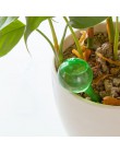 1/5 sztuk automatyczna roślin samo podlewanie podajnik wody z tworzywa sztucznego piłka PVC roślin kwiaty podajnik wody wewnątrz