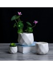Kreatywny ceramiczny diament geometryczne doniczka proste sukulenta pojemnik zielone donice małe bonsai doniczki dekoracji wnętr