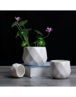 Kreatywny ceramiczny diament geometryczne doniczka proste sukulenta pojemnik zielone donice małe bonsai doniczki dekoracji wnętr