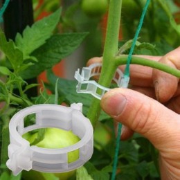 50 sztuk 23mm plastikowe klipsy wspierające rośliny dla pomidorów wiszące krata winorośli łączy rośliny warzywa szklarniowe ozdo