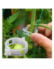 50 sztuk 23mm plastikowe klipsy wspierające rośliny dla pomidorów wiszące krata winorośli łączy rośliny warzywa szklarniowe ozdo