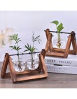Roślina hydroponiczna wazony szklany wazon sadzarka Terrarium stół do komputera Bonsai doniczka wiszące doniczki z drewnianą tac