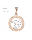 FJ 12 znak zodiaku 585 złoty kolor konstelacji Rose White wisiorki koziorożec/Gemini Twisted naszyjnik łańcuch kobiety mężczyźni