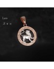FJ 12 znak zodiaku 585 złoty kolor konstelacji Rose White wisiorki koziorożec/Gemini Twisted naszyjnik łańcuch kobiety mężczyźni