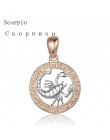 FJ 12 znak zodiaku 585 złoty kolor konstelacji Rose White wisiorki koziorożec/Gemini Twisted naszyjnik łańcuch kobiety mężczyźni