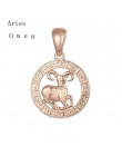 FJ 12 znak zodiaku 585 złoty kolor konstelacji Rose White wisiorki koziorożec/Gemini Twisted naszyjnik łańcuch kobiety mężczyźni