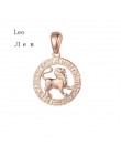FJ 12 znak zodiaku 585 złoty kolor konstelacji Rose White wisiorki koziorożec/Gemini Twisted naszyjnik łańcuch kobiety mężczyźni