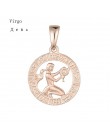 FJ 12 znak zodiaku 585 złoty kolor konstelacji Rose White wisiorki koziorożec/Gemini Twisted naszyjnik łańcuch kobiety mężczyźni