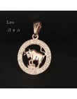FJ 12 znak zodiaku 585 złoty kolor konstelacji Rose White wisiorki koziorożec/Gemini Twisted naszyjnik łańcuch kobiety mężczyźni