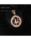FJ 12 znak zodiaku 585 złoty kolor konstelacji Rose White wisiorki koziorożec/Gemini Twisted naszyjnik łańcuch kobiety mężczyźni