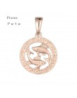 FJ 12 znak zodiaku 585 złoty kolor konstelacji Rose White wisiorki koziorożec/Gemini Twisted naszyjnik łańcuch kobiety mężczyźni
