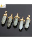 CSJA 1PC labradoryt wisiorki naturalny kryształ wahadło dla naszyjnik sześciokątne punkt Spectrolite Reiki biżuteria prezenty F3