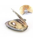 Perły ostrygi z ryżem 7-8mm miłość życzenie prawdziwa perła słodkowodna i zestaw Nacklace (łańcuszek 55 cm)
