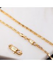 Unisex złoty kolor srebrny łańcuch collares naszyjnik dla kobiet mężczyzn płaski wąż Link Chain karabińczyk biżuteria Drop Shipp