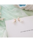 30 style kolczyki dla kobiet kolczyki słodka muszla Pendientes dziewczyna ucha biżuteria boucle d'oreille femme 2019 kwiat Brinc