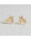 Kolczyki damskie ze stali nierdzewnej urok Goldne Silver Heart Star Moon stal nierdzewna stalowe kolczyki dla kobiet moda biżute