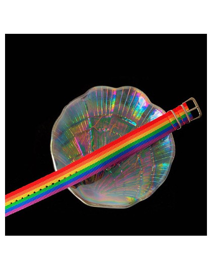 HZ 2020 fajny facet Punk Rainbow Canvas bransoletka regulowany Hip Hop Nylon pleciony pasek bransoletka dla kobiet Man para Part