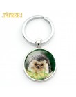 TAFREE jeżyk we mgle Cartoon brelok z miejscem na zdjęcie dla mężczyzn kobiety Handmade moda брелок breloczek do kluczy holder b