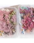 Pudełko aromaterapia pływające kwiaty suszone kwiaty głowice kwiatowe dokonywanie Craft DIY akcesoria