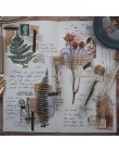 20 sztuk  zestaw Vintage suszony kwiat eukaliptusa szyszki sosnowe paproć roślina liściasta bawełna wzór materiał DIY scrapbook