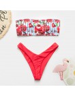 Bikinx Bandeau stroje kąpielowe kobiety push up strój kąpielowy kobiet kaktus drukuj mikrobikini 2019 sexy strój kąpielowy bikin