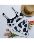 Seksowne Bikini Mujer 2019 nowy nadruk z krową strój kąpielowy kobiety dwa kawałki Push Up Biquini brazylijski strój kąpielowy d