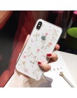 Qianliyao prawdziwe suszone kwiaty przezroczysta miękka osłona dla iphone X 6 6S 7 8 Plus 11 Pro Max etui na telefony dla iphone