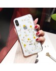 Qianliyao prawdziwe suszone kwiaty przezroczysta miękka osłona dla iphone X 6 6S 7 8 Plus 11 Pro Max etui na telefony dla iphone