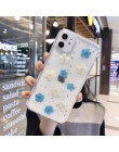 Qianliyao prawdziwe suszone kwiaty przezroczysta miękka osłona dla iphone X 6 6S 7 8 Plus 11 Pro Max etui na telefony dla iphone