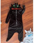 Jak wytresować smoka bezzębny Anime Kigurumi kobiety zimowa flanelowa ze zwierzęciem Onesie śliczne Cosplay piżamy kombinezon pi
