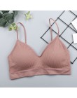 CHRLEISURE elastyczny biustonosz Bralette Push Up biustonosz letni anty-lekki koreański styl dziki biustonosz zakrętka tubki sek