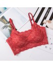 Sexy koronkowe biustonosze dla kobiet bielizna bielizna Bralette bez szwu biustonosz push-up BH Soutien wąwóz Femme kamizelka sp