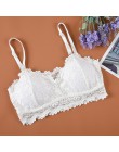 2019 New Arrival kobiety Push Up bezprzewodowy koronkowy top biustonosz kobiety Plus rozmiar Bralette bielizna pełna filiżanka b