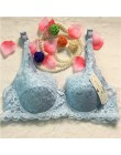 Top kobiety bielizna Sexy biustonosze push-up 3/4 Cup wyściełany koronkowy prześwitujący biustonosz Cup B tylko biustonosz damsk