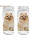 Chamsgend Drop Shipping kobiety dziewczęta Casual śliczne 3D Pomeranian pies drukuj bawełniane skarpetki 80228
