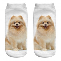Chamsgend Drop Shipping kobiety dziewczęta Casual śliczne 3D Pomeranian pies drukuj bawełniane skarpetki 80228