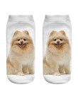 Chamsgend Drop Shipping kobiety dziewczęta Casual śliczne 3D Pomeranian pies drukuj bawełniane skarpetki 80228