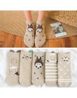 5Pairs New Arrival kobiety bawełniane skarpetki różowy słodki kociak skarpetki krótkie skarpetki Casual szczęśliwych zwierząt uc