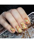 BORN PRETTY tłoczniki do paznokci koronki kwiat wzór zwierząt Nail Art Stamp szablon tłoczenia obraz płyty szablon do paznokci n