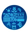 STZ szablon do stemplowania paznokci Dreamcather flamingi kwiat koronki owoce pieczęć płyty paznokci formy wzornik narzędzia Man