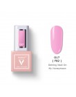 VINIMAY New arrival 60 lakier do paznokci żel kolorowy żel UV do paznokci Lak Primer Soak Off Nail artystyczny design lakier do 