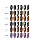NEE JOLIE 7.5ML 3D Cat Eyes lakier do paznokci 22 kolory Chameleon magnetyczne kocie oczy efekt lakier do paznokci Soak Off laki