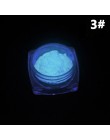 1 Box neonowy fosforyzujący proszek brokat do paznokci 10 kolorów pył Luminous Pigment fluorescencyjny proszek do paznokci świec