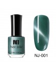 NEE JOLIE 7.5ML 3D Cat Eyes lakier do paznokci 22 kolory Chameleon magnetyczne kocie oczy efekt lakier do paznokci Soak Off laki